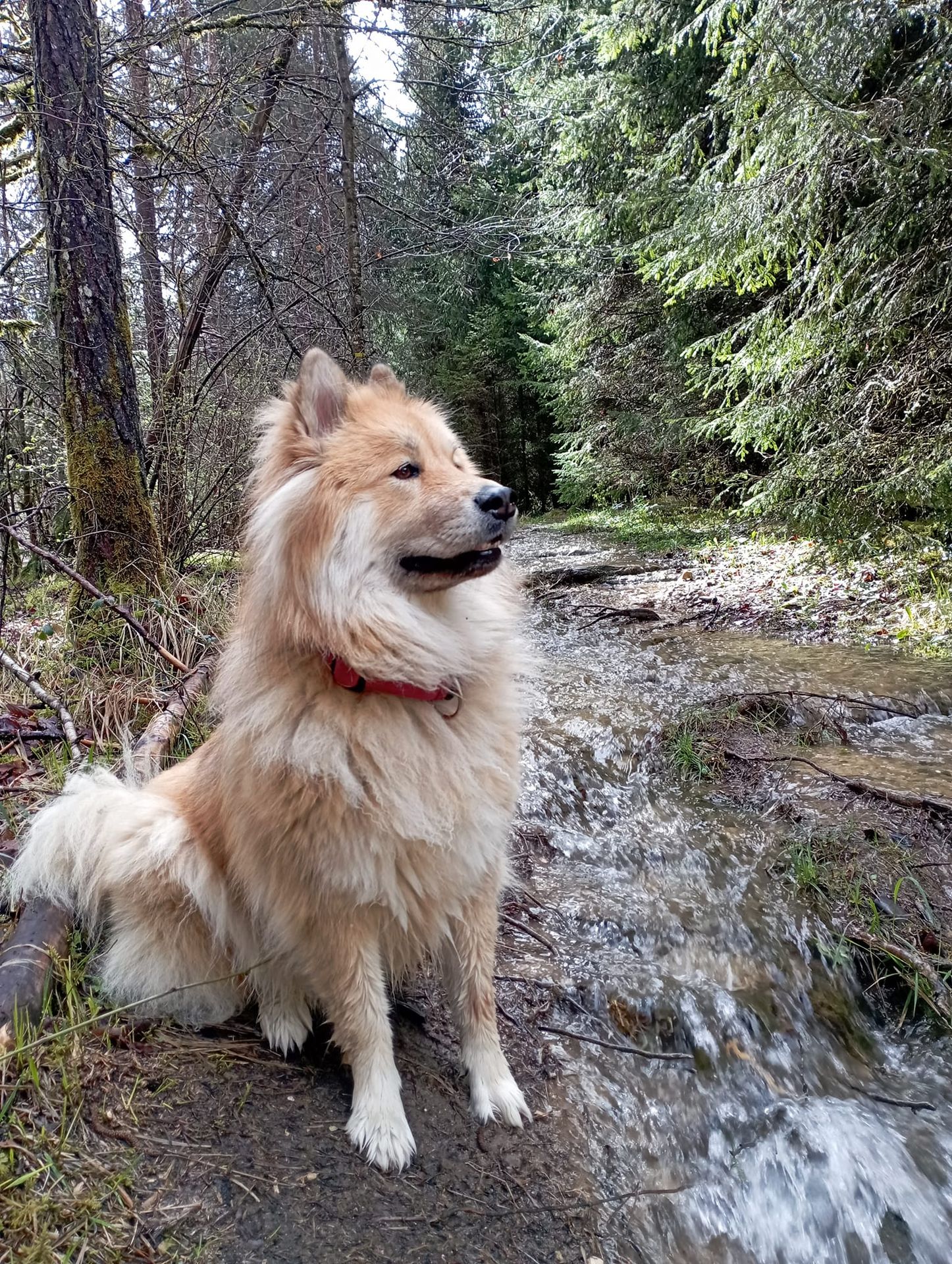 Gestion-administrative-artisan-batiment-44-85-49